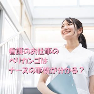 看護のお仕事のペリカンゴはナースの事情を話す？